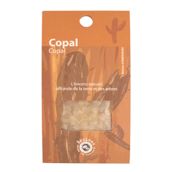 Copal : Résine Les Encens du Monde ~ Sachet de 30 Grammes