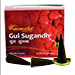 Gul Sugandh : Encens Indien Aromatika ~ Boîte de 20 Cônes + 1 Porte-Encens