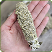Sauge Blanche en Smudge