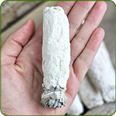 Yagra Blanc en Smudge