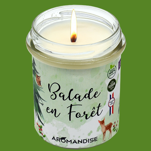 Bougie 100% végétale - Parfum Orange-Cannelle - A l'huile essentielle de  Bois de Cade